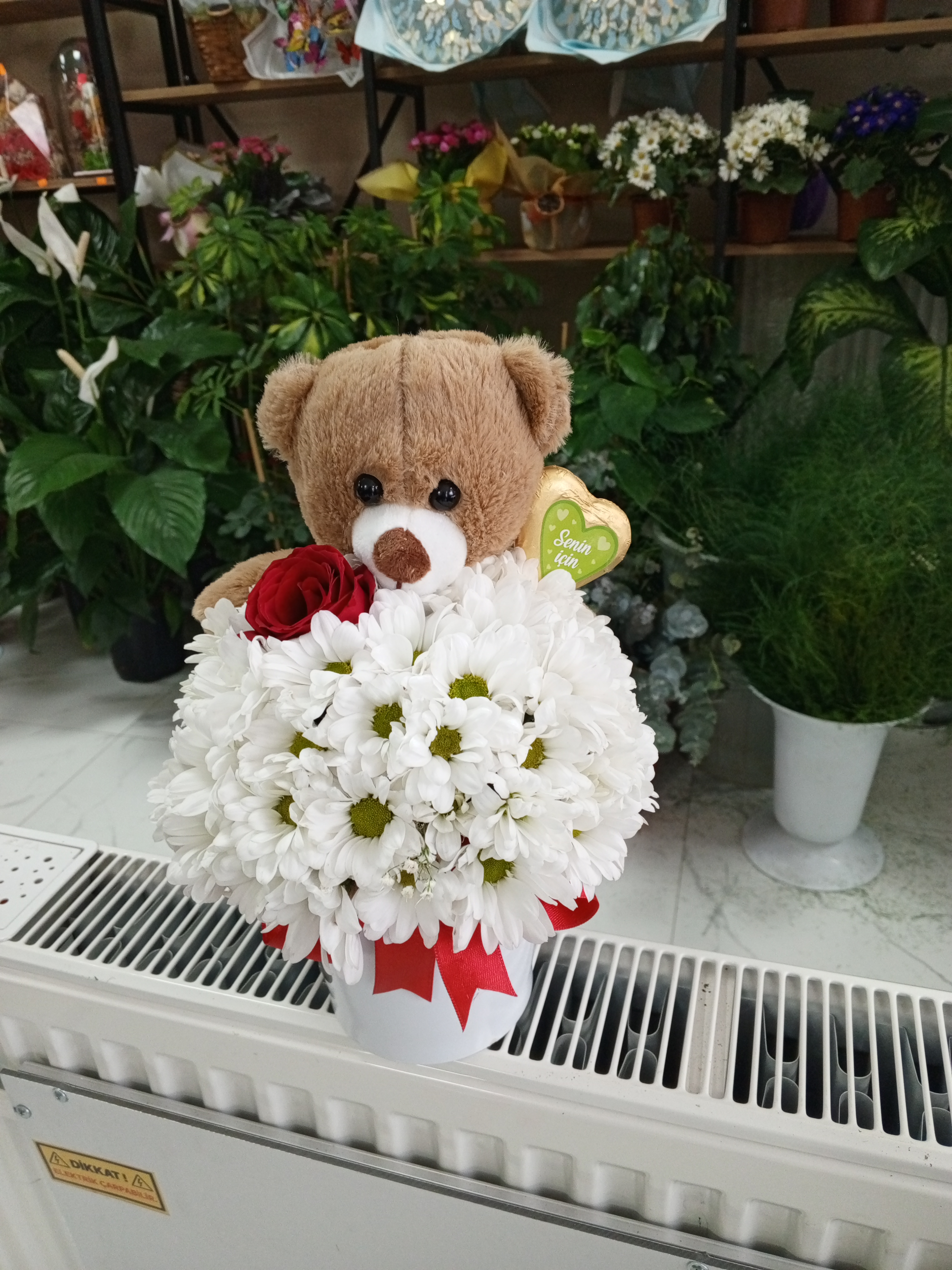 Vazo içinde ayıcık ve papatyalar